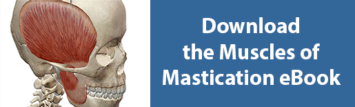 download muscles of mastication ebook