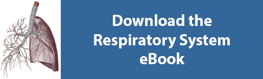 download respiratory system ebook