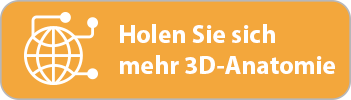 Holen Sie sich mehr 3D-Anatomie